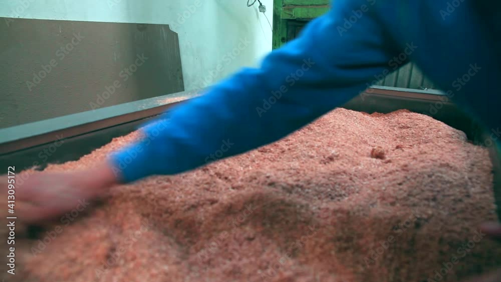 Wood sawdust is removed with a dustpan. Fresh, dry pine and pine