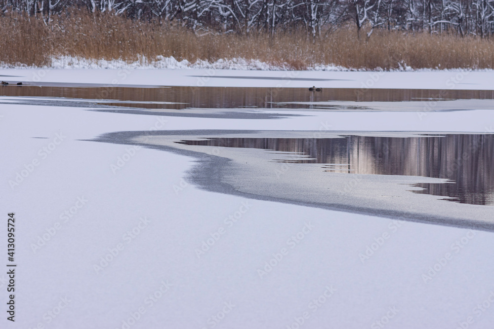 初冬の沼の氷と雪
