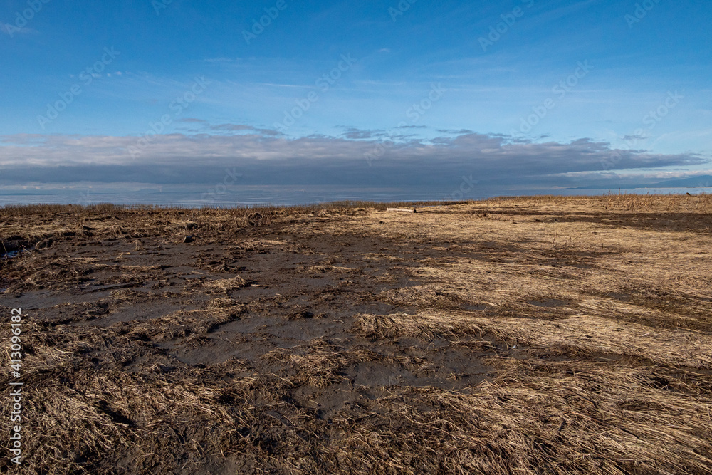 vast marshland filled with brown grasses by the coast with heavy thick clouds hovering above the horizon