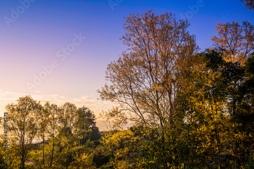 Majestic  beech tree on a hill slope with sunny beams at mountain valley. Dramatic colorful morning scene. Red and yellow autumn leaves.