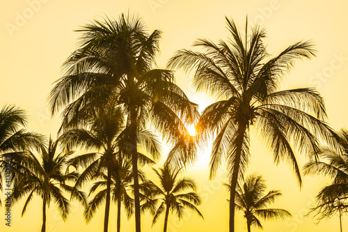 Beautiful coconut palm tree with sky at sunset or sunrise