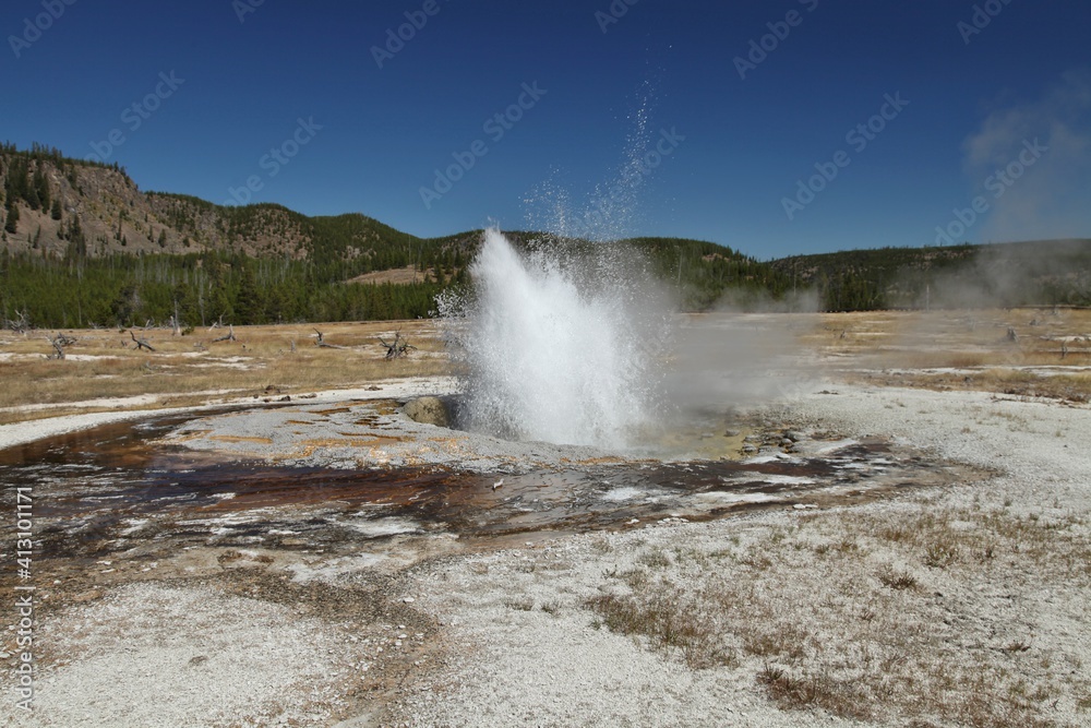 Jewel Geyser erupting along Biscuit Basin Loop Trail (Continental Divide Trail) in Biscuit Basin at Yellowstone National Park, Wyoming Jewel Geyser erupting along Biscuit Basin Loop Trail (Continental Divide Trail) in Biscuit Basin at Yellowstone National Park, Wyoming