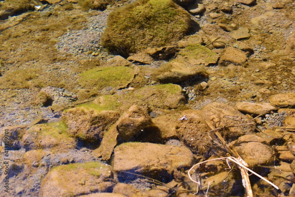view of water with stones or rocks in river