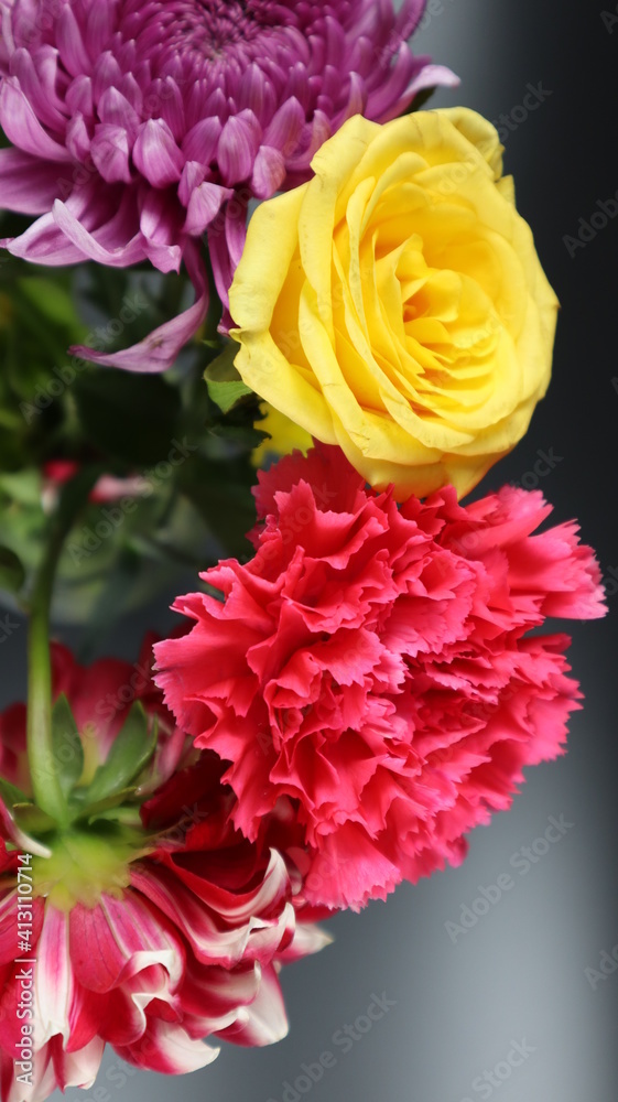 Close up. Beautiful bouquet of blooming colorful bright flowers isolated in dark background. Close up. Beautiful bouquet of blooming colorful bright flowers isolated in dark background.