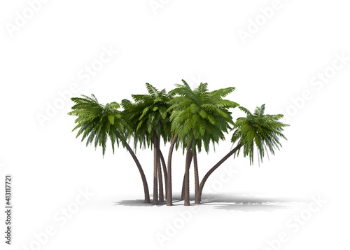 Isolated palm trees on white background, 3d Illustration.