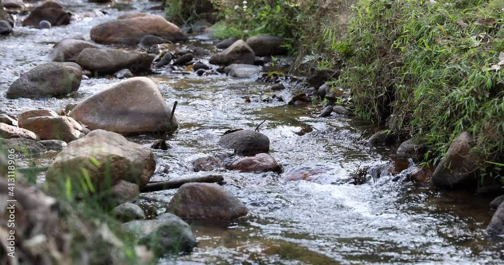 stream, water, clear, background, beautiful, clean, environment, fall, flow, foliage, forest, fresh, garden, grass, green, growth, highland, hill, landscape, leaf, moss, motion, mountain, natural, nat stream, water, clear, background, beautiful, clean, environment, fall, flow, foliage, forest, fresh, garden, grass, green, growth, highland, hill, landscape, leaf, moss, motion, mountain, natural, nat