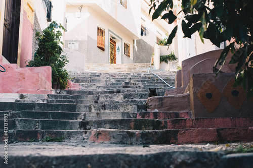 Cat in alley