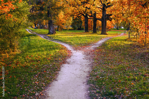 A wide trail in the rays of sunset in an autumn park branches into two narrow ones, leading in different directions