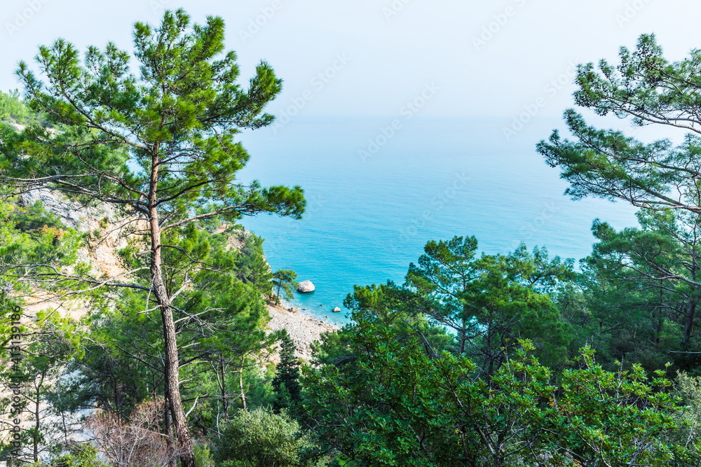 Trees in the background of a seascape  on the Antalya Mediterranean coast near  Beldibi, Turkey
