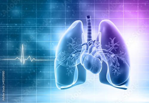 Human respiratory system on scientific background. 3d illustration.