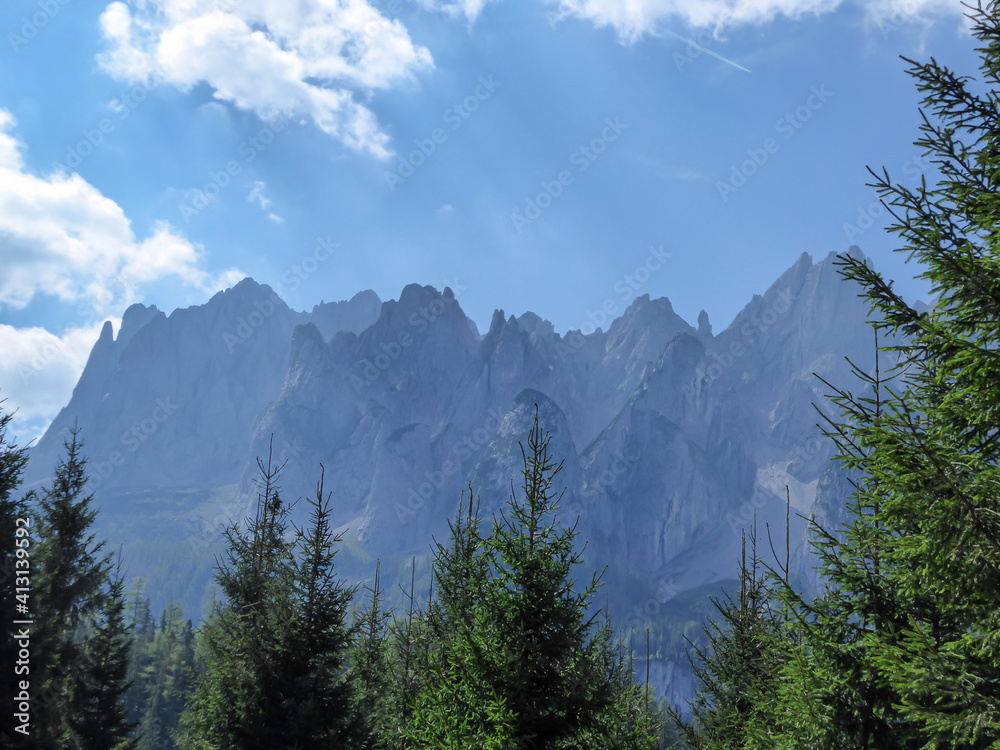 A panoramic view on high Alps in the region of Gosau, Austria. The lower mountains are overgrown with dense forest. The chains in the back are stony and barren. Few pine trees popping up. Sunny day.