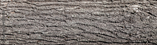 the textured surface of the old tree bark. Panoramic abstract background.