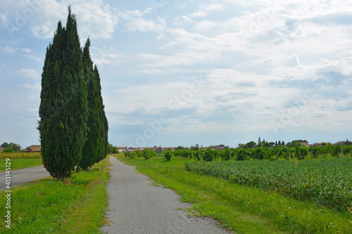 An unmarked cycle lane in rural Friuli-Venezia Giulia, north east Italy, near Cividale del Friuli. A field of soyabeans can be seen on the right 