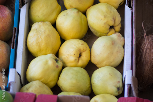 Quince fruits (Cydonia oblonga) presented for sale in a carton box at the market, Tel Aviv, Israel