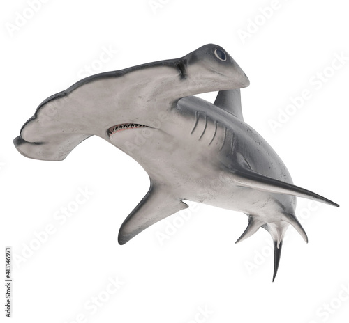 Hammerhead Shark Isolated