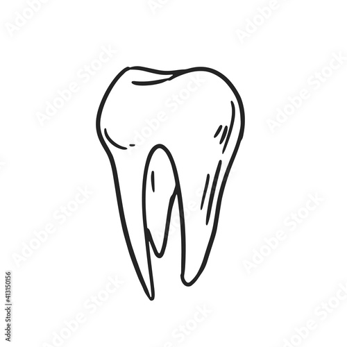 Whole tooth with crown and root. Hand-drawn human molar. Black and white contoured vector illustration isolated on white background