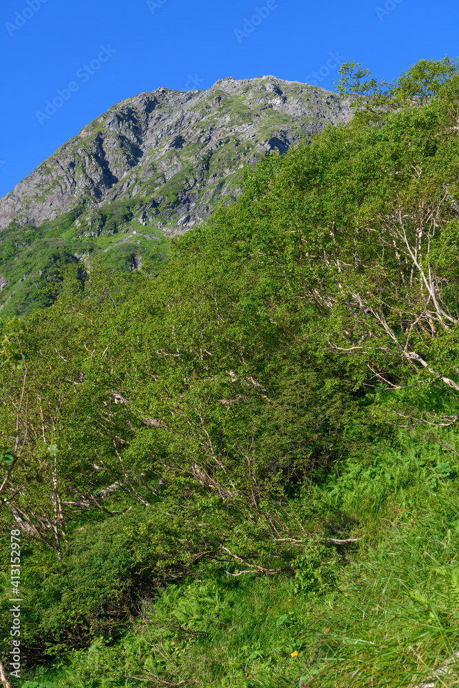 草スベリから見た北岳