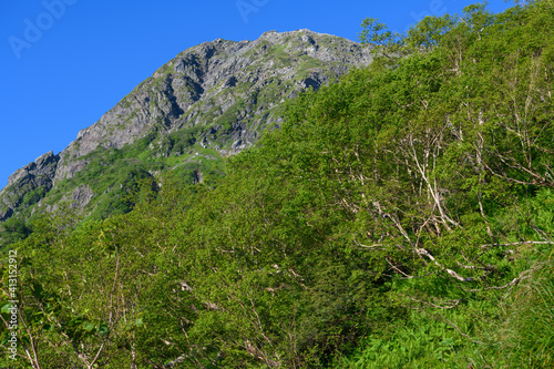 草スベリから見た北岳