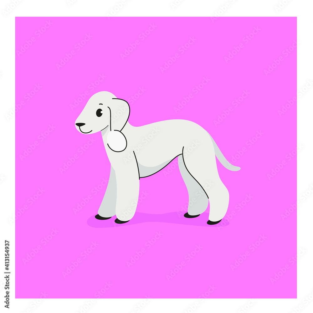 Fototapeta premium Bedlington Terrier. Cute dog character. Vector illustration in cartoon style for poster, postcard.