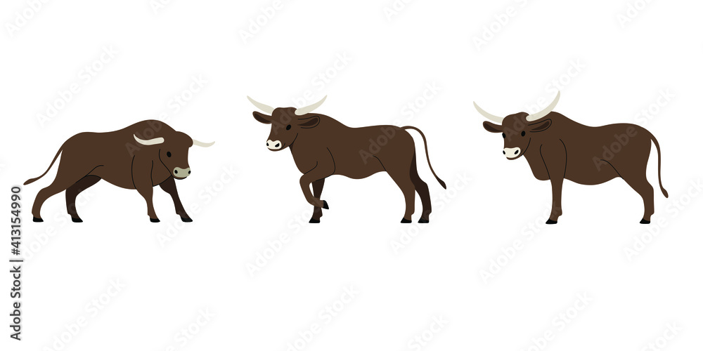 Obraz premium Illustration of bull in various poses. Vector drawing.