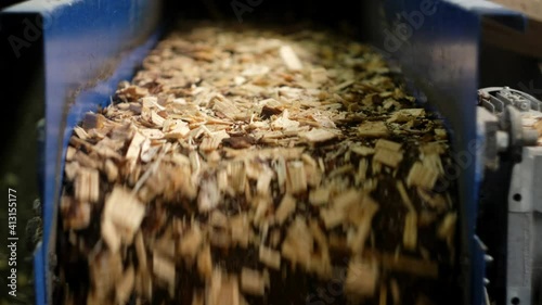 A large amount of wood chips travels along the conveyor belt. Woodworking.