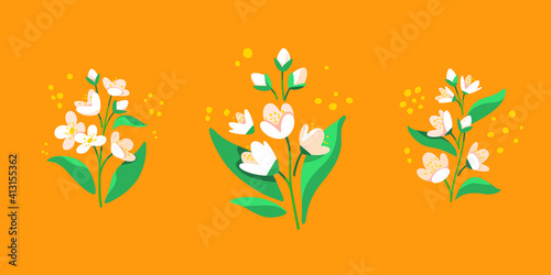 Branch of Jasmine tree.  Flat vector colorful illustration for cosmetics, perfumeries and food packaging.