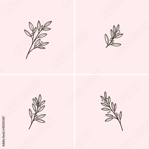 Laurel. Different types of branch. Simple contour vector illustration for packaging, corporate identity, labels, postcards, invitations.