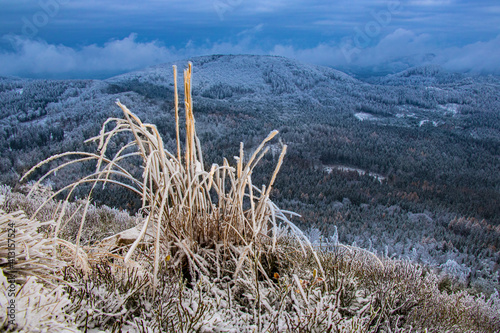 winter on top of a hill in the Lusatian mountains © sever07