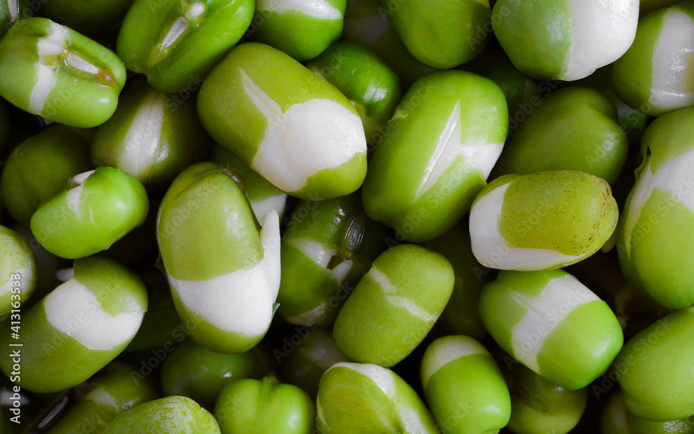 Germinated moong beans Germinated moong beans
