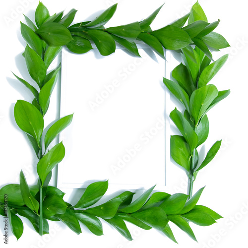 isolated white blank photo frame and green juicy branches around