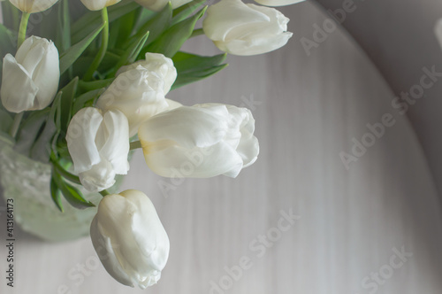 Fototapeta Naklejka Na Ścianę i Meble -  A bouquet of white tulips in a glass vase at home.