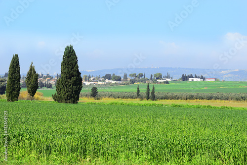 countryside landscape with a view of the Jezreel Valley, Lower Galilee, Israel. in the foreground is a field of young wheat