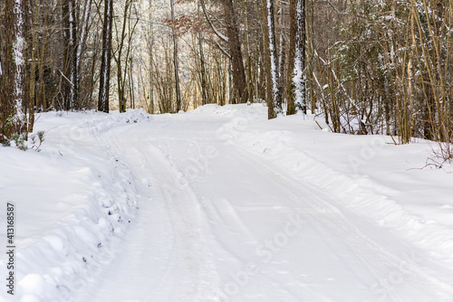 Snowy trail path in the winter coniferous forest.Cold winter snowy morning