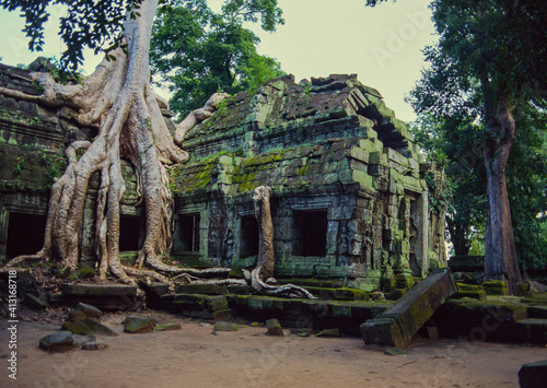 Taprom Temple with big Tree