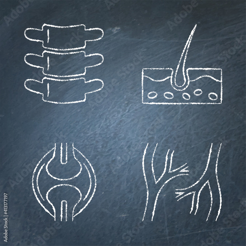 Human organs icon sketch set on chalkboard