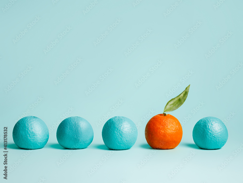 Creative pattern made of outstanding orange fruit surrounded by blue colored oranges on pastel blue background. Fruit minimal concept. Gradient colors palette. Top view, flat lay, close up. Creative pattern made of outstanding orange fruit surrounded by blue colored oranges on pastel blue background. Fruit minimal concept. Gradient colors palette. Top view, flat lay, close up.