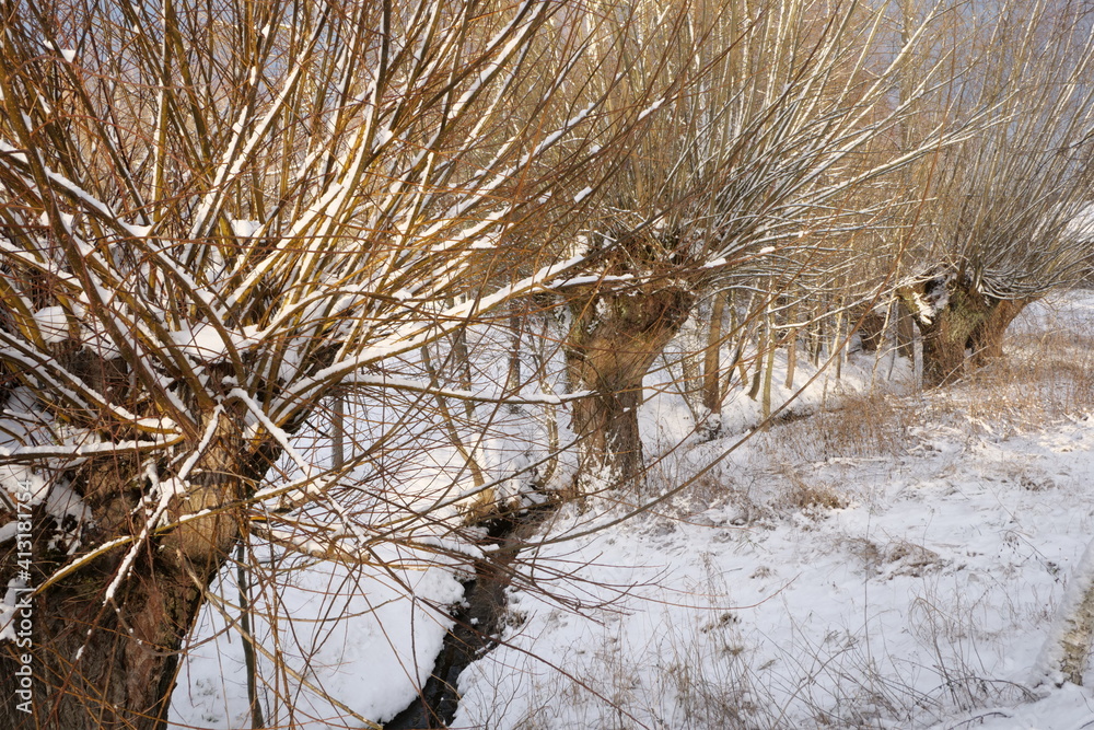 Obraz premium Zima w Polsce