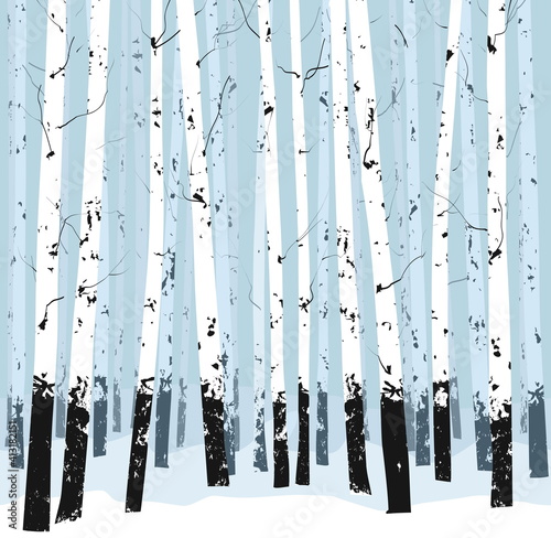 seamless horizontal vector background with trees - birches. Black white 
