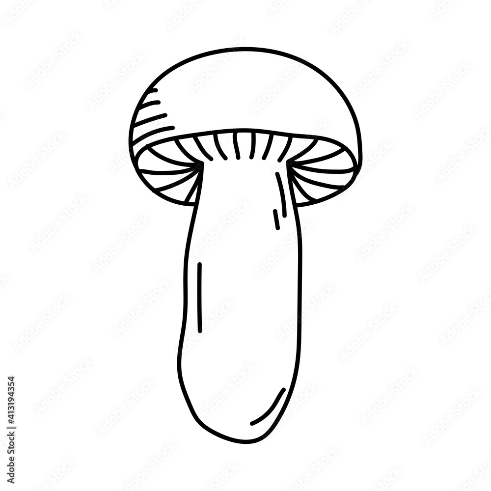 Autumn nature doodle element Autumn nature doodle element