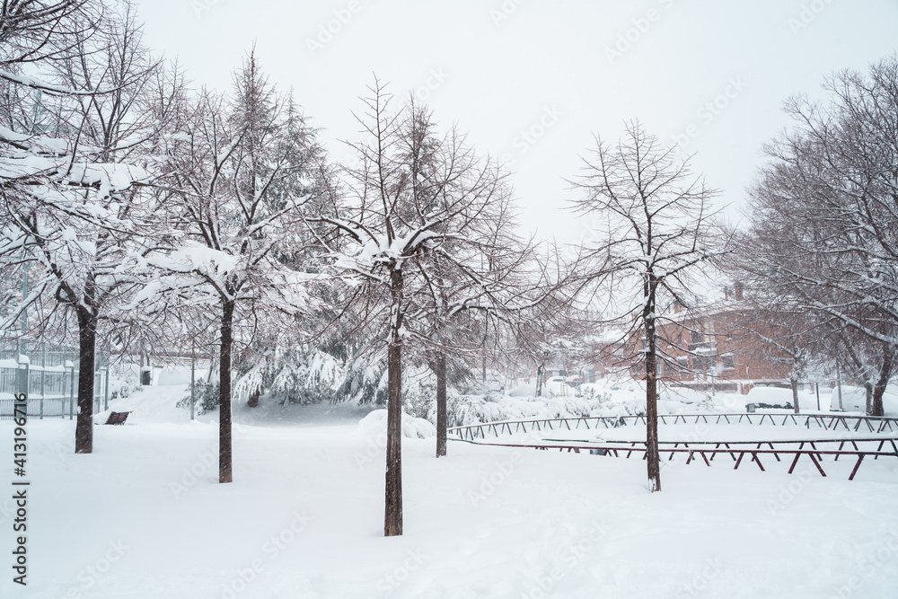 Horizontal view of scenic snow nature postcard. Trees and fields covered with white snow in winter. Christmas seasonal cold weather concept. Horizontal view of scenic snow nature postcard. Trees and fields covered with white snow in winter. Christmas seasonal cold weather concept.