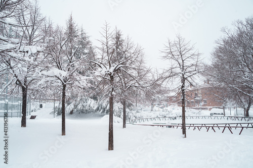 Horizontal view of scenic snow nature postcard. Trees and fields covered with white snow in winter. Christmas seasonal cold weather concept.