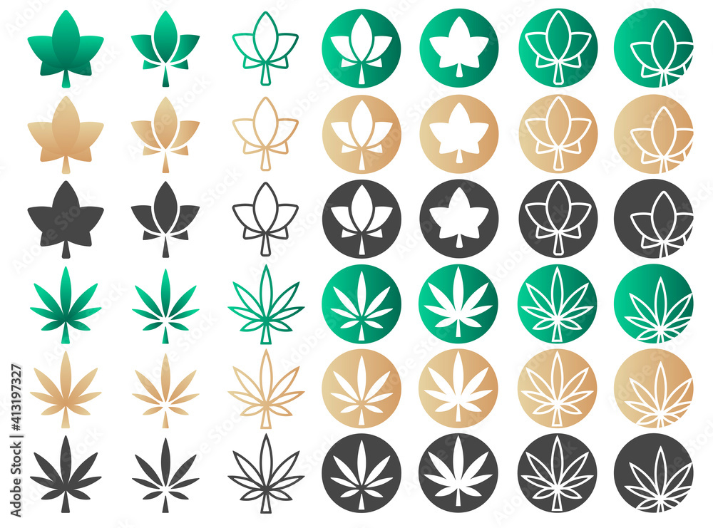 Set of Ivy and cannabis leaves. Maple, marijuana, ivy, hemp leaf icon. Elements for cosmetic or medical product packaging design. Nature, environment concept. Vector illustration isolated on white Set of Ivy and cannabis leaves. Maple, marijuana, ivy, hemp leaf icon. Elements for cosmetic or medical product packaging design. Nature, environment concept. Vector illustration isolated on white