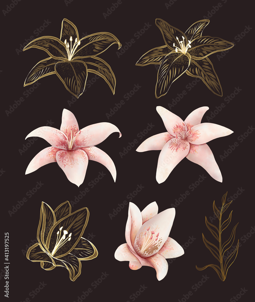 Beautiful set with pink white cream and golden lily on dark background