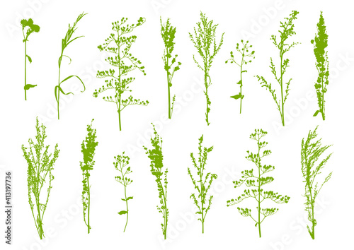 Set of green herbal silhouettes - wild herbs isolated on white - green grass for spring and summer natural design