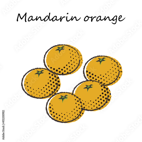 フルーツのイラスト　マンダリンオレンジ　温州みかん