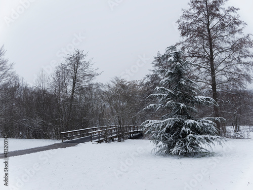 Grüttpark Lörrach im Winter. Baden-Württembergische landesgarten. Promenadenweg und kleine Brücke über den Grüttbach nach Grüttsee photo