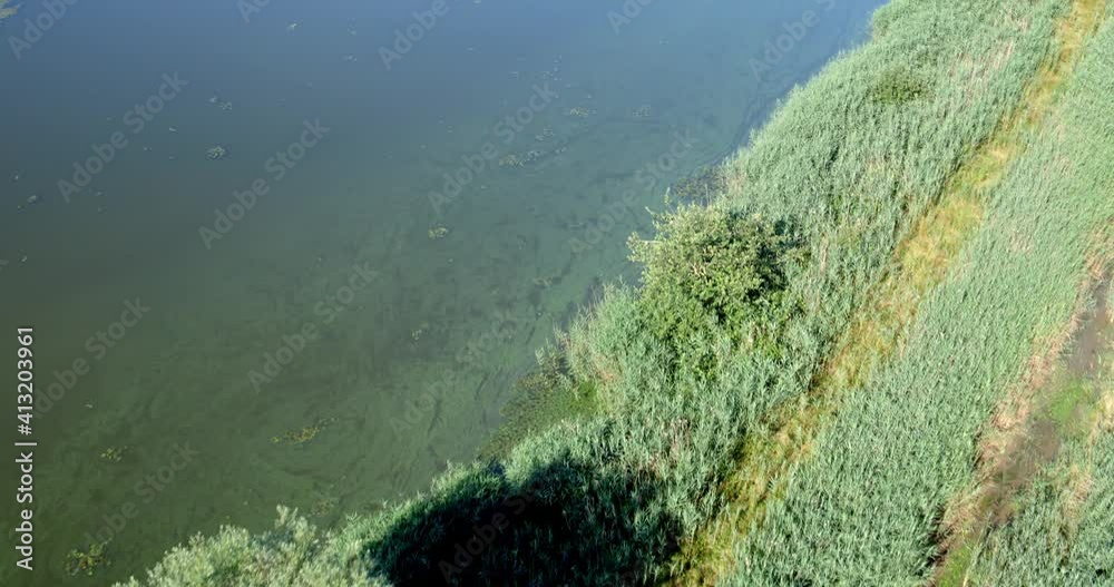 custom made wallpaper toronto digitalAerial view of overgrown fishponds with water chestnut, Crna Mlaka