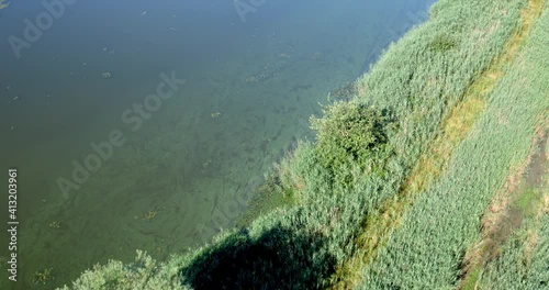 Wallpaper Mural Aerial view of overgrown fishponds with water chestnut, Crna Mlaka Torontodigital.ca