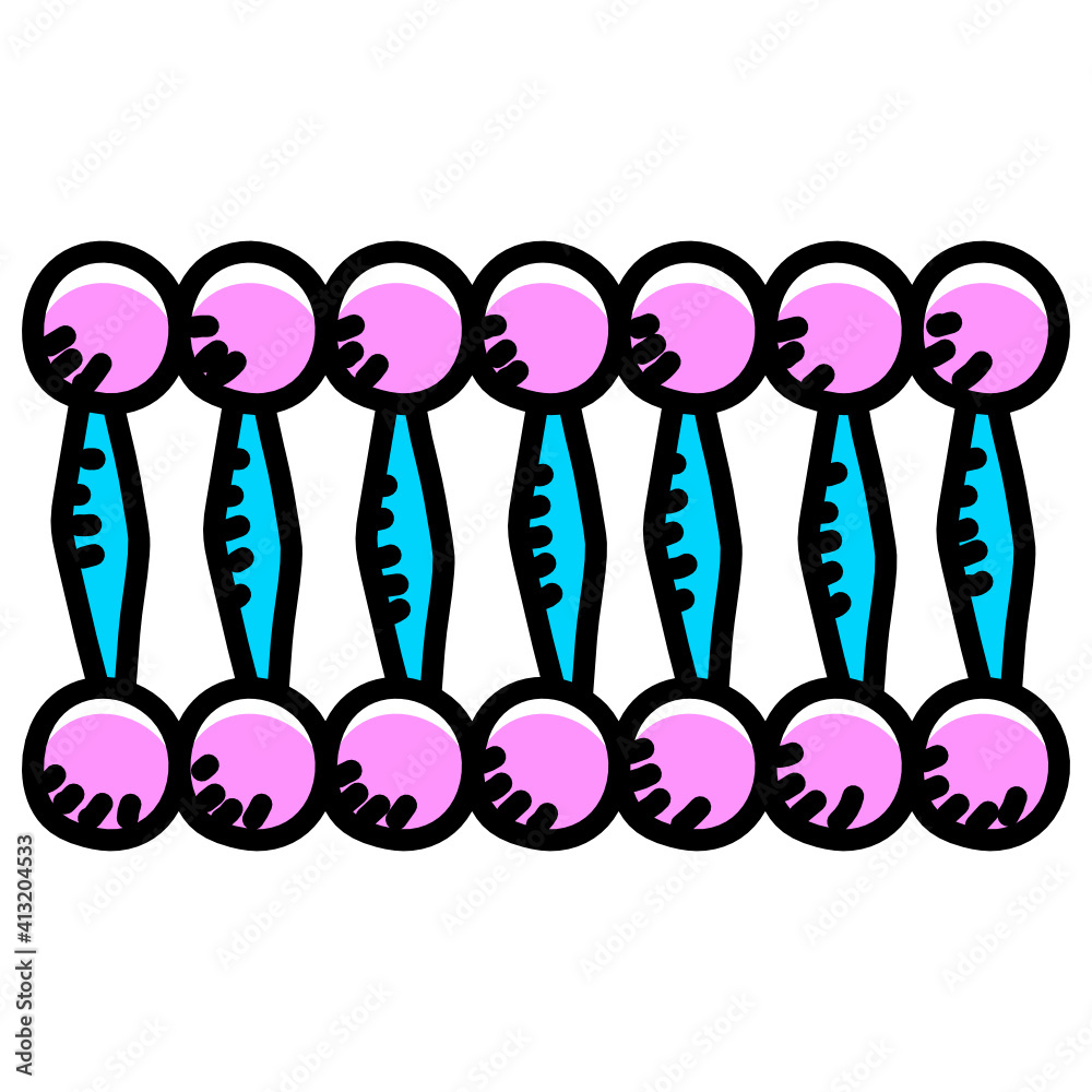 Human cell, lipid bilayer doodle icon Stock Vector | Adobe Stock