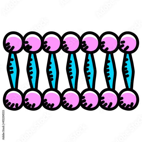 
Human cell, lipid bilayer doodle icon 

